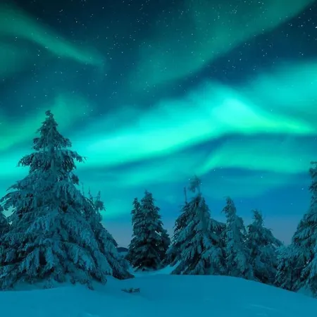 Arctic Circle Luxury House - Next To Santa's Village *