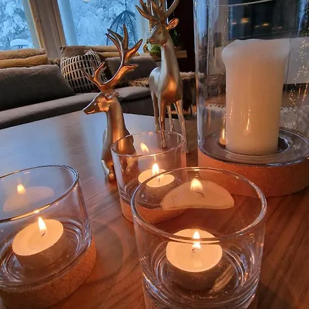 Arctic Circle Luxury House - Next To Santa's Village 罗瓦涅米