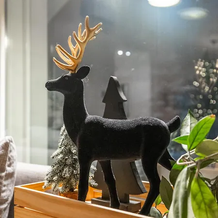 Arctic Circle Luxury House - Next To Santa's Village Willa